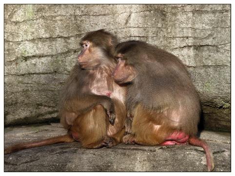 _MG_3505 Kopie_klein.jpg